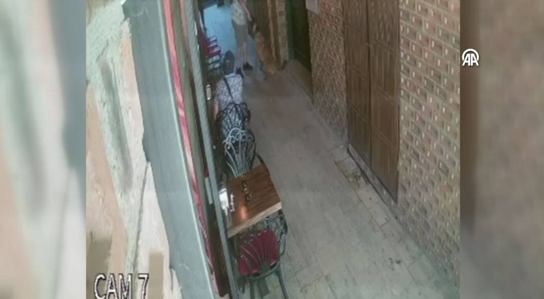 Pamukkale Kafeler Sokağı'nda sevmek istediği sokak köpeği ısırdı - Resim: 3